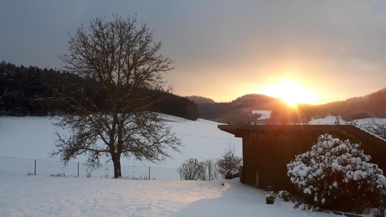Ferienwohnung Eichkatzel Zell Exteriör bild